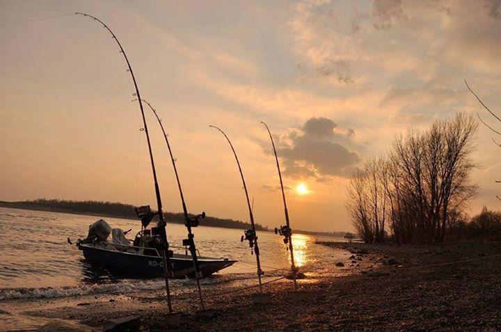 Black Cat - img16611445298583.jpeg